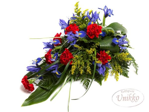 Surulaite Sinipunainen 10